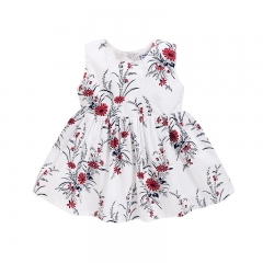 Floral Baby Girl Dress